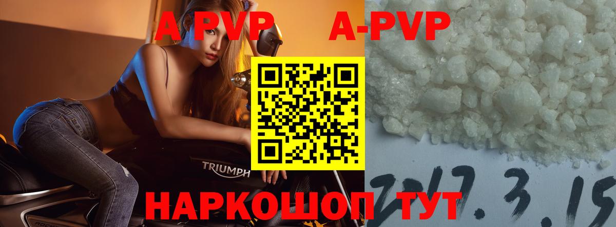 Альфа ПВП СК Гагарин