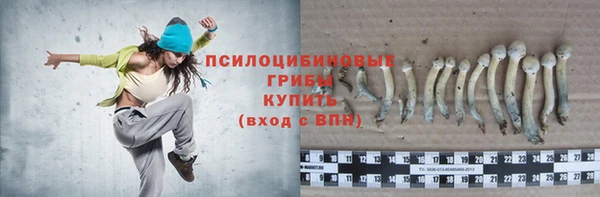 таблы Медвежьегорск