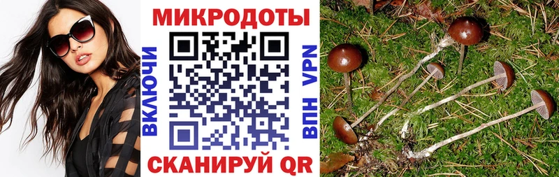 Галлюциногенные грибы Psilocybine cubensis  наркотики  Гагарин 