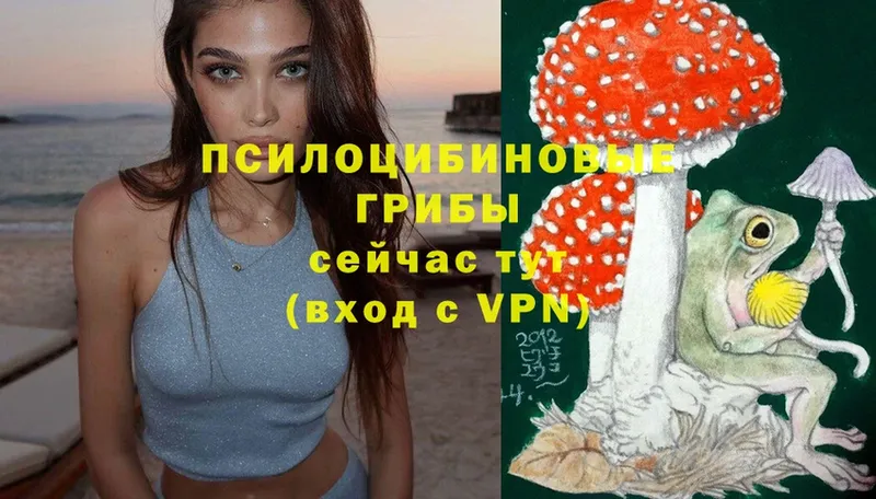 продажа наркотиков  KRAKEN   Галлюциногенные грибы MAGIC MUSHROOMS  Гагарин 