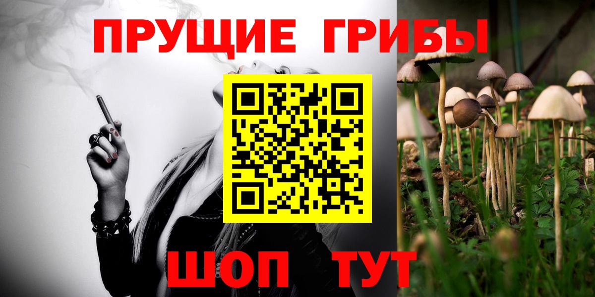 Псилоцибиновые грибы Psilocybine cubensis  Гагарин  Псилоцибиновые грибы Cubensis 