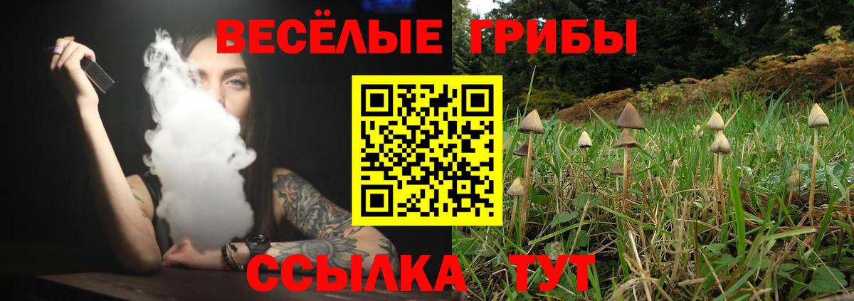 Галлюциногенные грибы Cubensis  Вход с VPN  Гагарин 